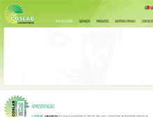 Tablet Screenshot of coslablaboratorios.com